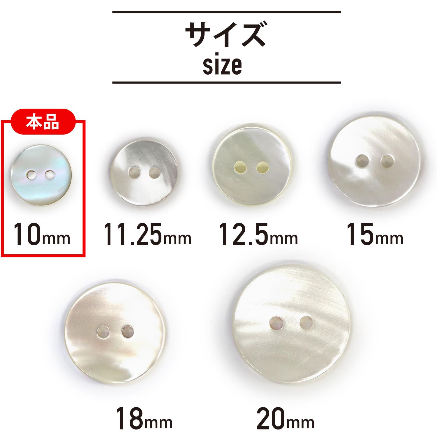 Amazon | シェルボタン 貝ボタン 貝製 片面 高瀬貝 シャツ ボタン 二つ